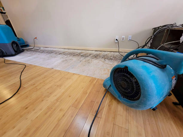 Professional Water Damage Repair technician working in Waldo, FL